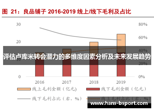 评估卢库米转会潜力的多维度因素分析及未来发展趋势