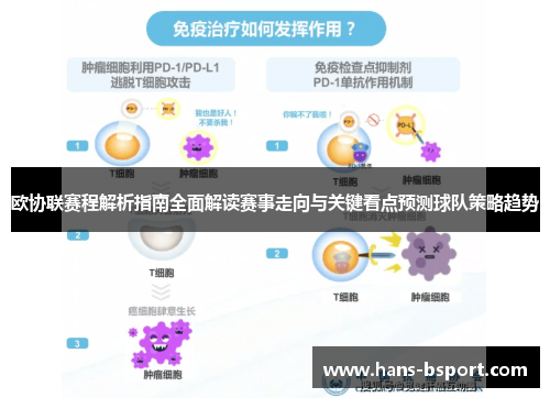 欧协联赛程解析指南全面解读赛事走向与关键看点预测球队策略趋势