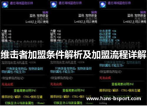 维击者加盟条件解析及加盟流程详解